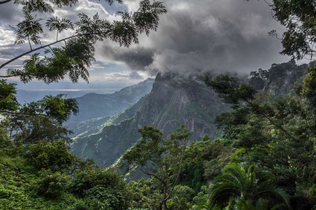 Magamba Rainforest-Irente Viewpoint