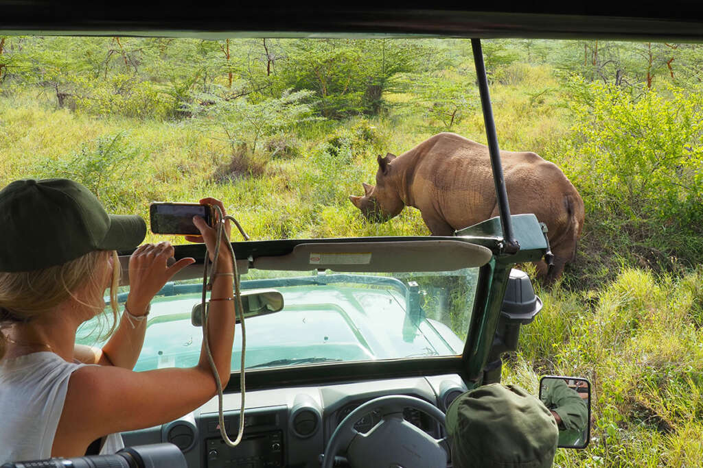 Mkomazi National Park Day Game Drive