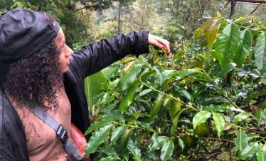Magamba Forest coffee tour